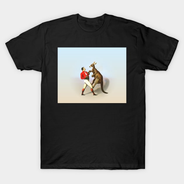 Circus Series Boxing Kangaroo T-Shirt by allovervintage